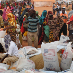 The Science of Sustainable Charity: What Actually Works