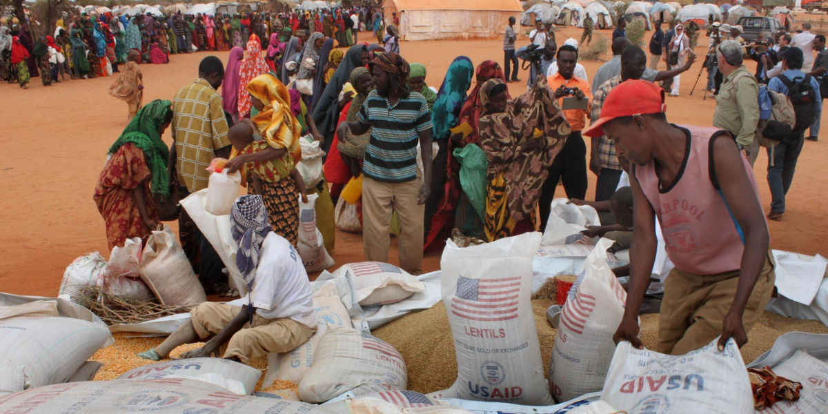 The Science of Sustainable Charity: What Actually Works