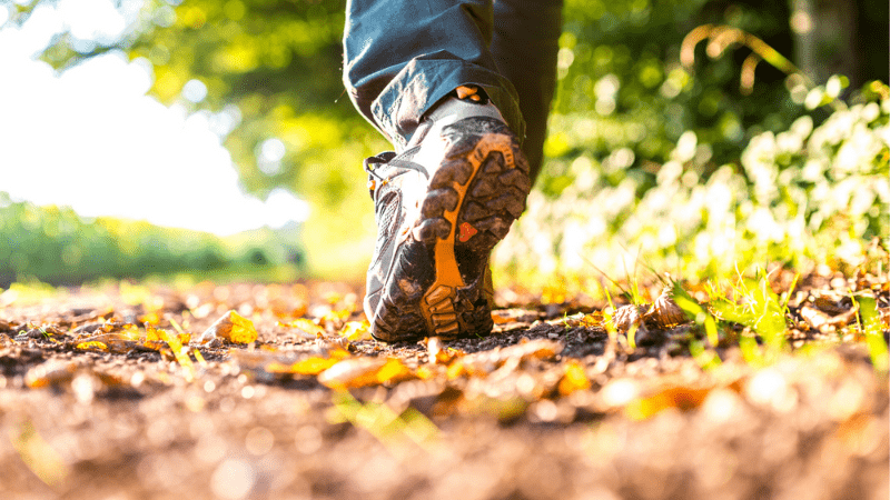 Zero Hunger Awareness Walk